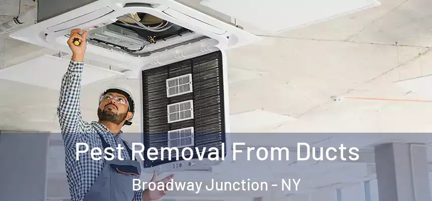 Pest Removal From Ducts Broadway Junction - NY
