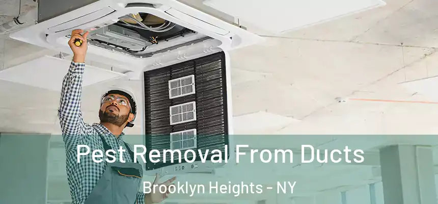 Pest Removal From Ducts Brooklyn Heights - NY