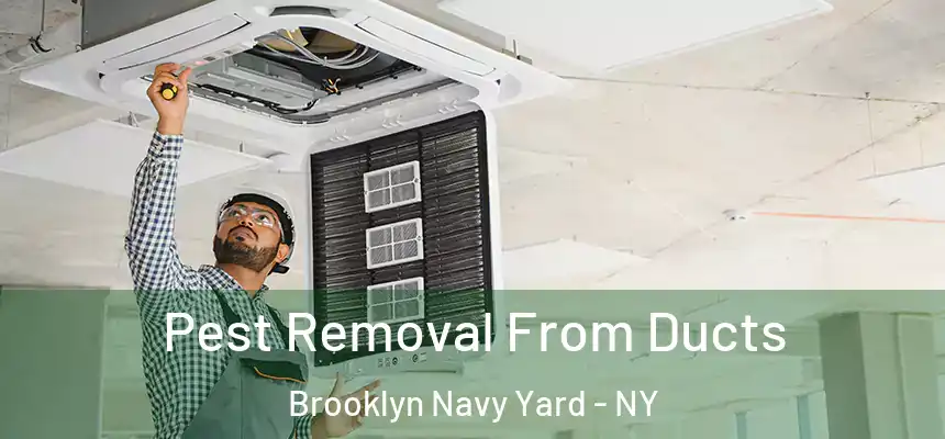 Pest Removal From Ducts Brooklyn Navy Yard - NY