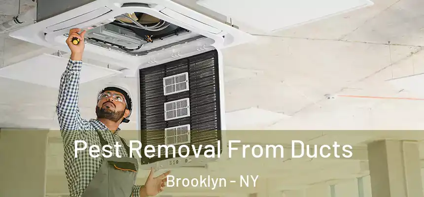 Pest Removal From Ducts Brooklyn - NY
