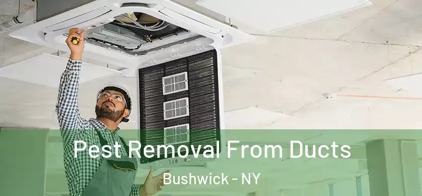 Pest Removal From Ducts Bushwick - NY