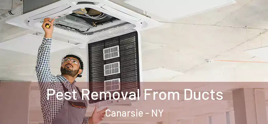 Pest Removal From Ducts Canarsie - NY