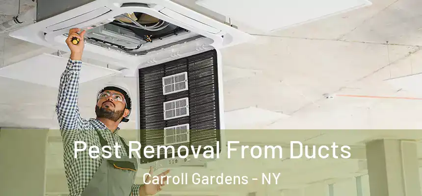 Pest Removal From Ducts Carroll Gardens - NY