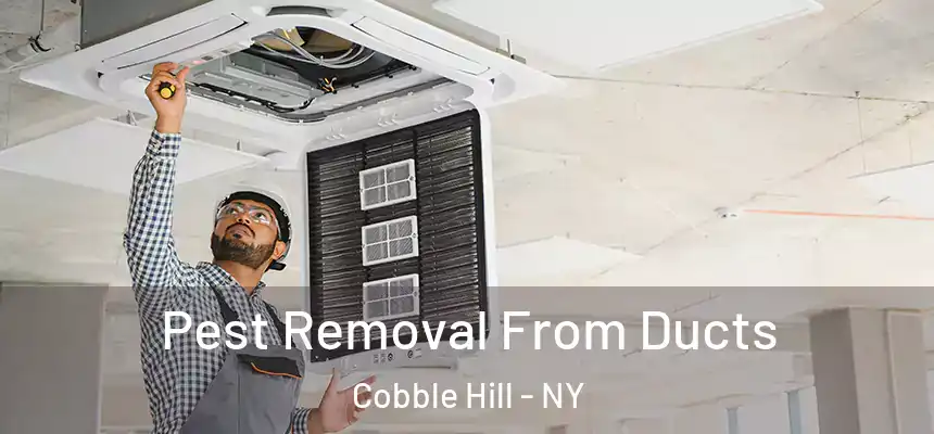  Pest Removal From Ducts Cobble Hill - NY