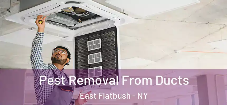 Pest Removal From Ducts East Flatbush - NY