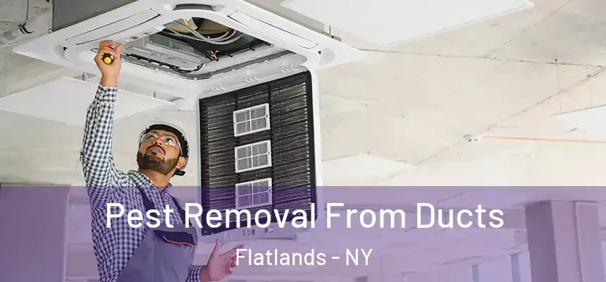 Pest Removal From Ducts Flatlands - NY