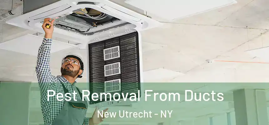 Pest Removal From Ducts New Utrecht - NY