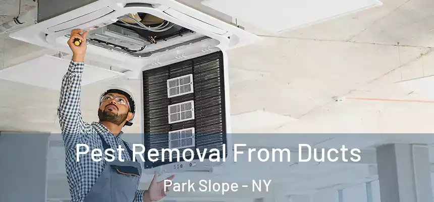 Pest Removal From Ducts Park Slope - NY