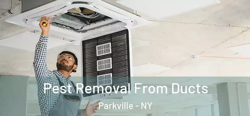 Pest Removal From Ducts Parkville - NY