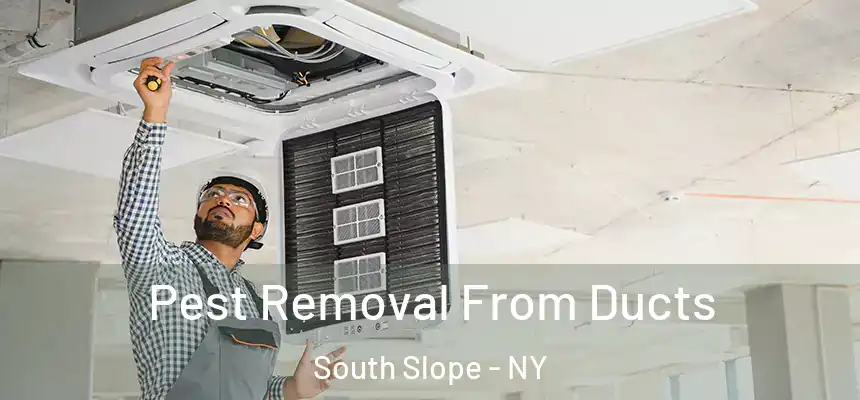 Pest Removal From Ducts South Slope - NY