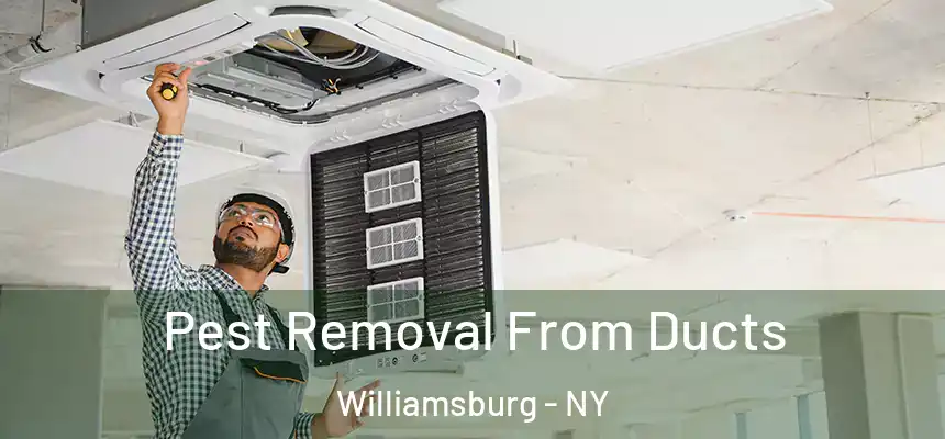 Pest Removal From Ducts Williamsburg - NY