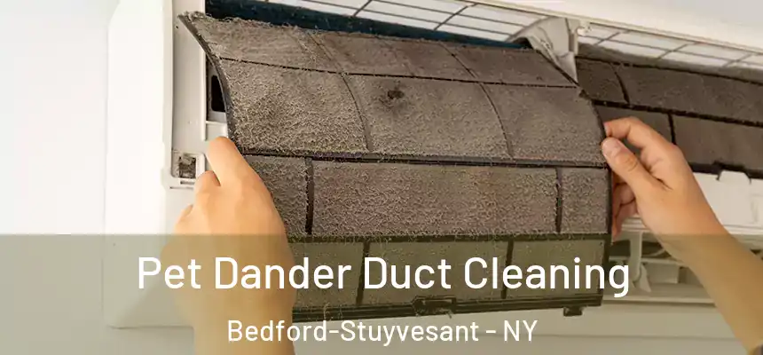Pet Dander Duct Cleaning Bedford-Stuyvesant - NY