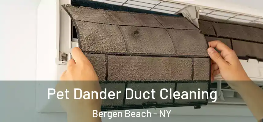 Pet Dander Duct Cleaning Bergen Beach - NY