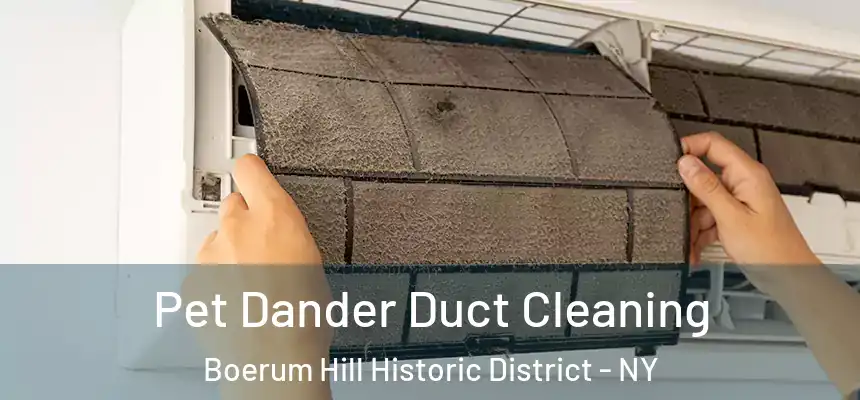 Pet Dander Duct Cleaning Boerum Hill Historic District - NY
