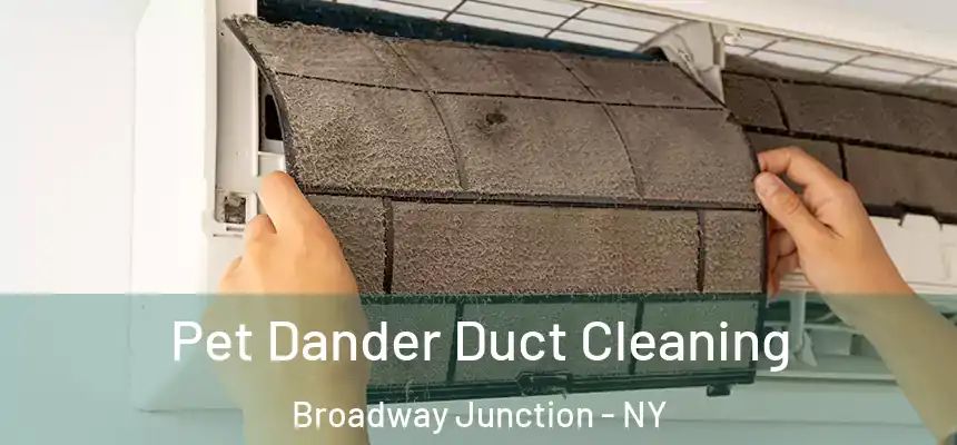 Pet Dander Duct Cleaning Broadway Junction - NY