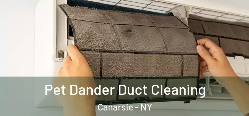 Pet Dander Duct Cleaning Canarsie - NY