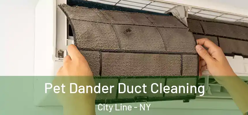Pet Dander Duct Cleaning City Line - NY