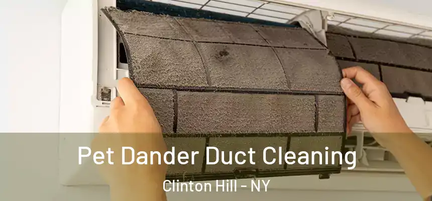 Pet Dander Duct Cleaning Clinton Hill - NY