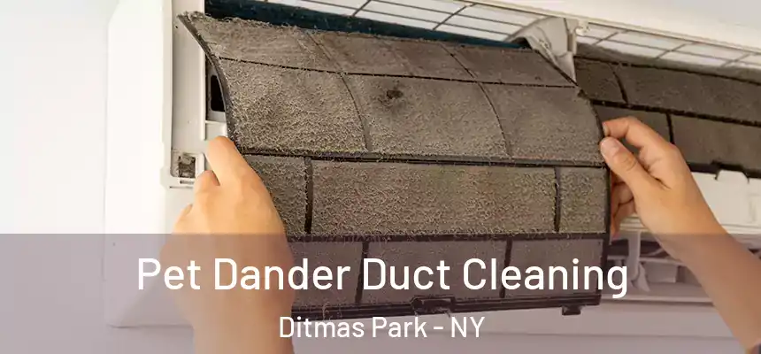 Pet Dander Duct Cleaning Ditmas Park - NY