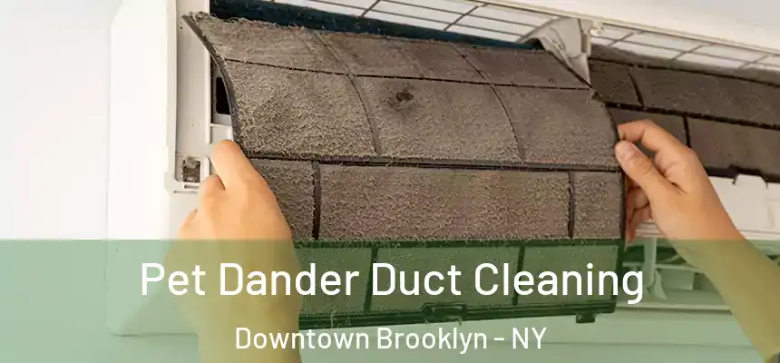 Pet Dander Duct Cleaning Downtown Brooklyn - NY
