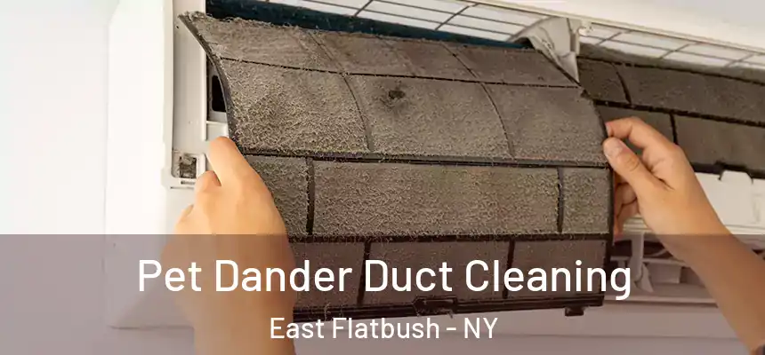  Pet Dander Duct Cleaning East Flatbush - NY