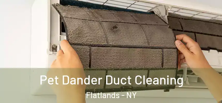 Pet Dander Duct Cleaning Flatlands - NY