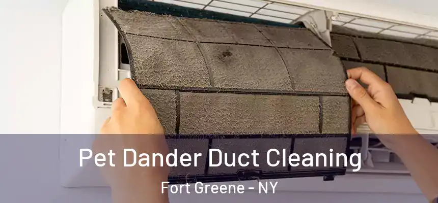 Pet Dander Duct Cleaning Fort Greene - NY