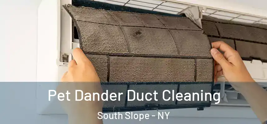 Pet Dander Duct Cleaning South Slope - NY