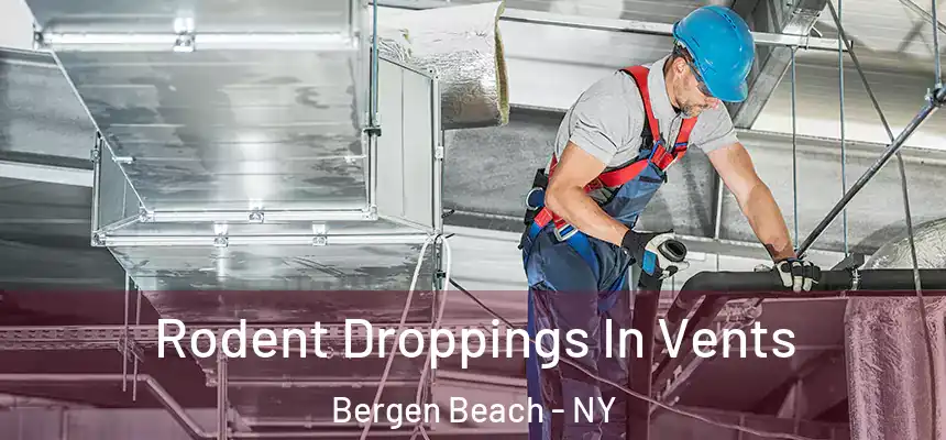 Rodent Droppings In Vents Bergen Beach - NY