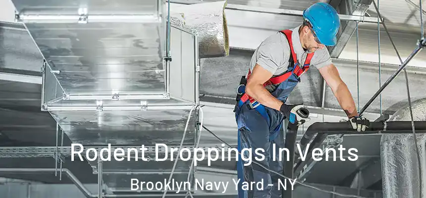 Rodent Droppings In Vents Brooklyn Navy Yard - NY