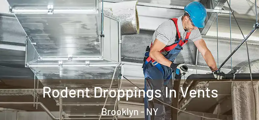 Rodent Droppings In Vents Brooklyn - NY