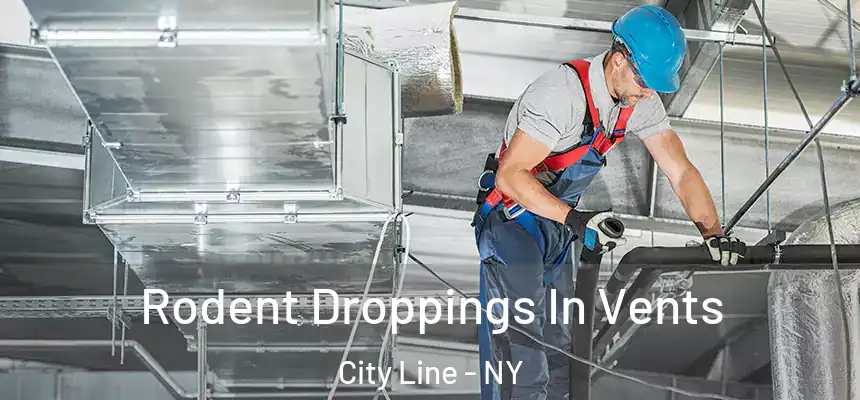 Rodent Droppings In Vents City Line - NY