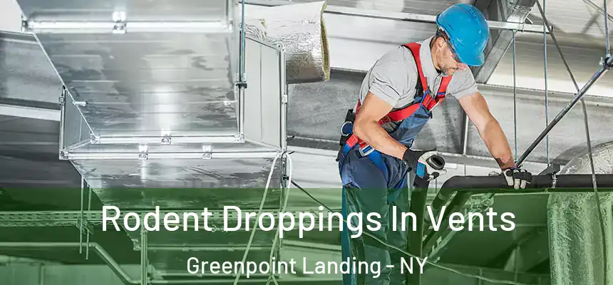 Rodent Droppings In Vents Greenpoint Landing - NY