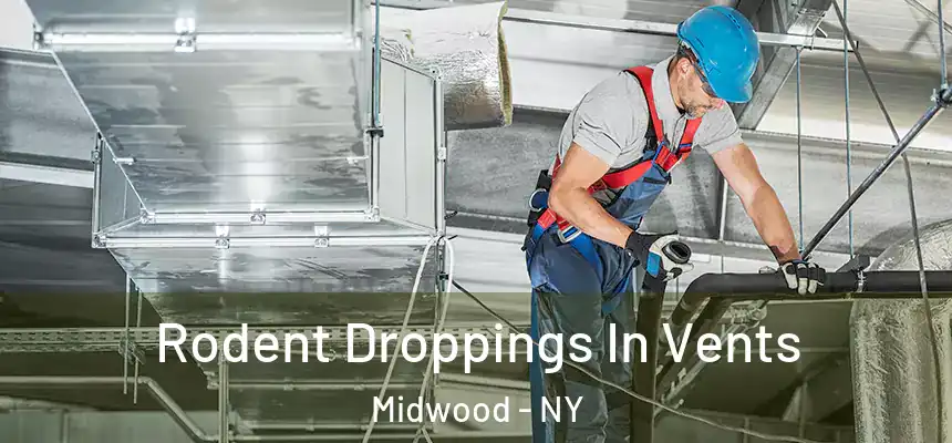 Rodent Droppings In Vents Midwood - NY