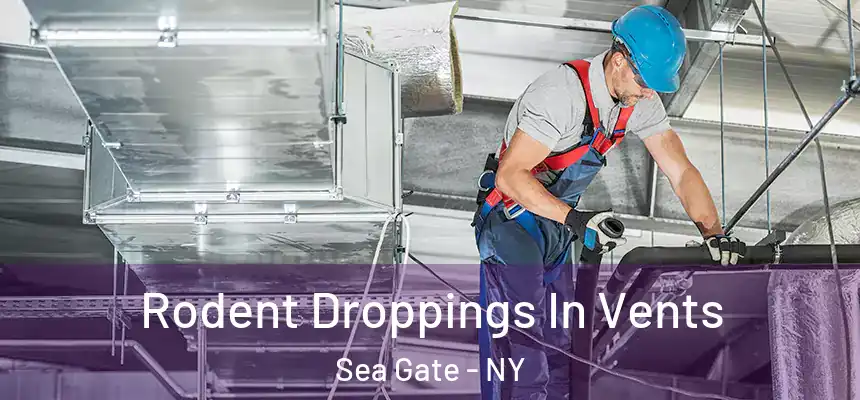 Rodent Droppings In Vents Sea Gate - NY