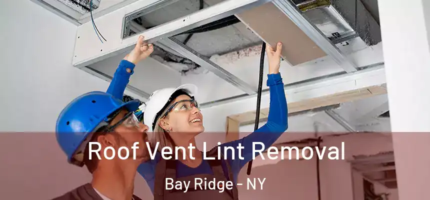 Roof Vent Lint Removal Bay Ridge - NY