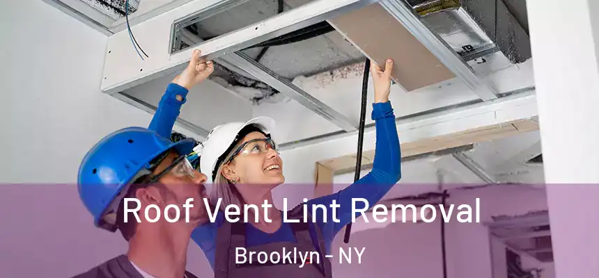 Roof Vent Lint Removal Brooklyn - NY