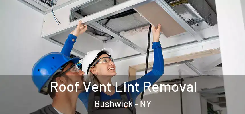 Roof Vent Lint Removal Bushwick - NY