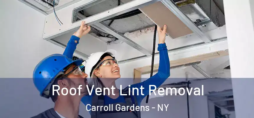 Roof Vent Lint Removal Carroll Gardens - NY