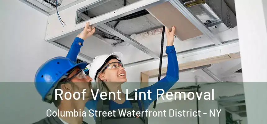 Roof Vent Lint Removal Columbia Street Waterfront District - NY