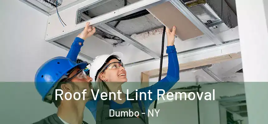 Roof Vent Lint Removal Dumbo - NY