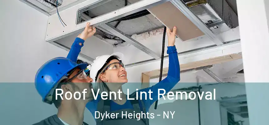 Roof Vent Lint Removal Dyker Heights - NY