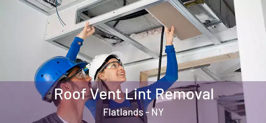 Roof Vent Lint Removal Flatlands - NY