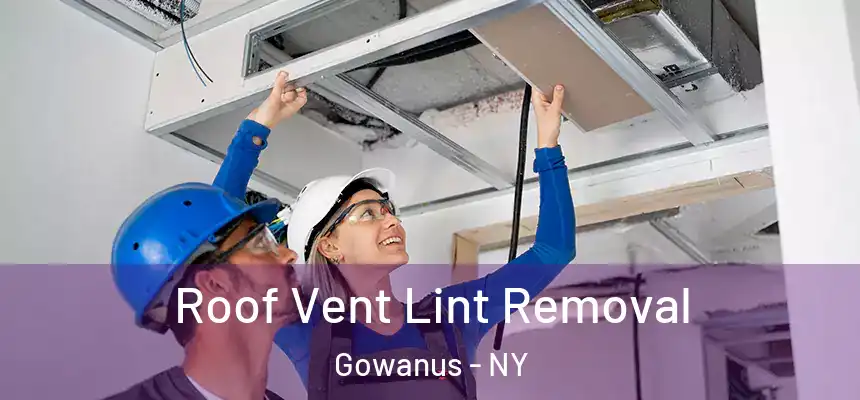 Roof Vent Lint Removal Gowanus - NY