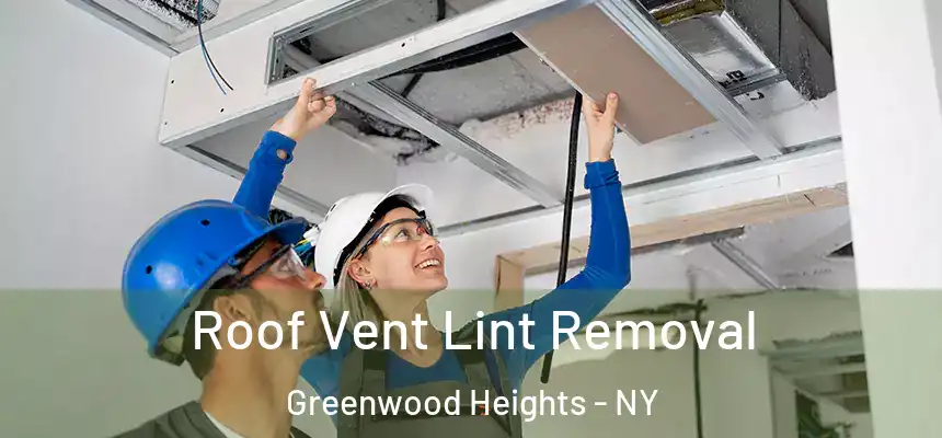 Roof Vent Lint Removal Greenwood Heights - NY