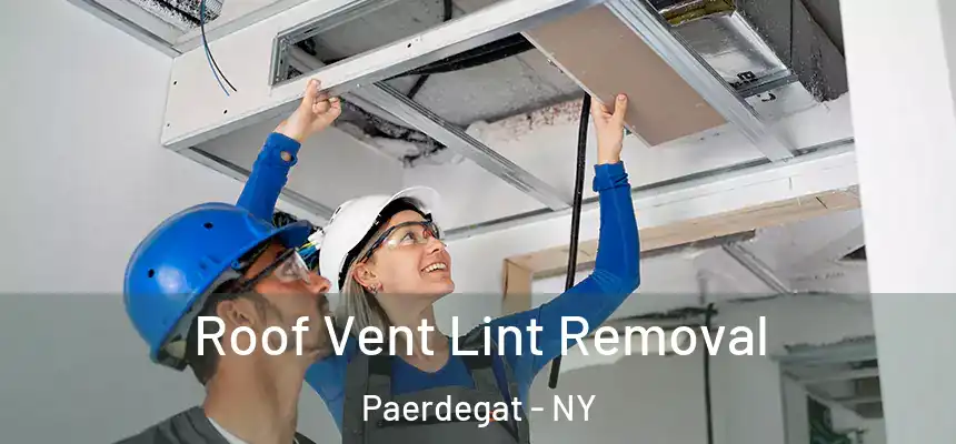 Roof Vent Lint Removal Paerdegat - NY
