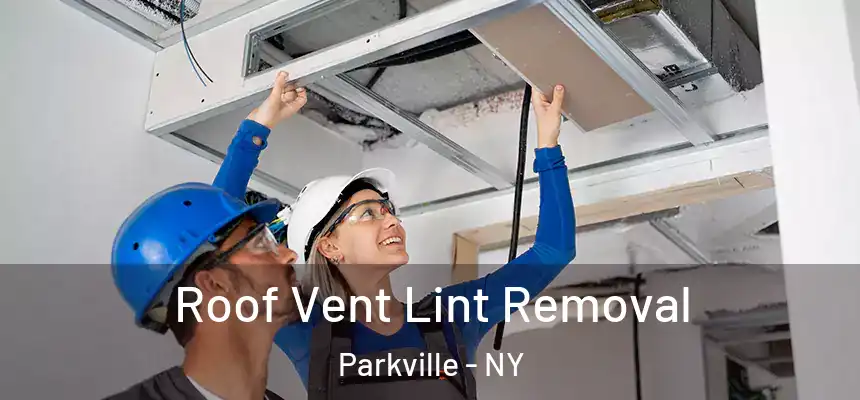 Roof Vent Lint Removal Parkville - NY