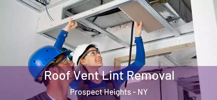 Roof Vent Lint Removal Prospect Heights - NY