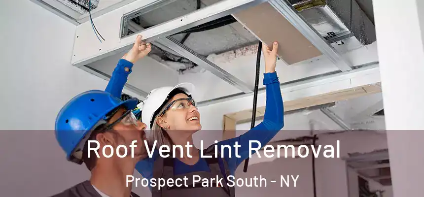 Roof Vent Lint Removal Prospect Park South - NY