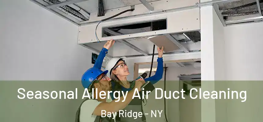 Seasonal Allergy Air Duct Cleaning Bay Ridge - NY